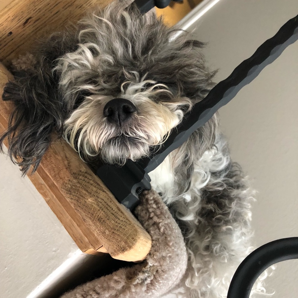 Meet your Posher, Piper